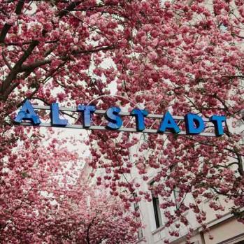 029-2020-J.-Habeth-3v3