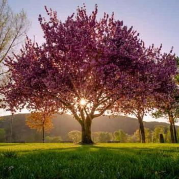 Gutschein LudwigvanB.-032-2020-J.Biederbick-1v1