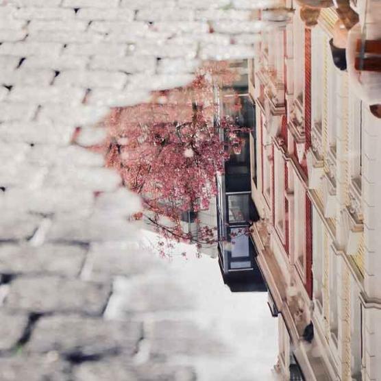 033-2020-L.Ragut-3v3