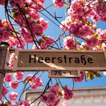 038-2020-A.Günster-1v3