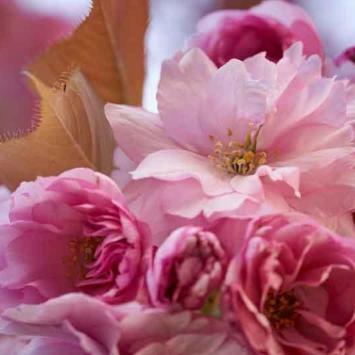 045-2020-Th.Geibig-1v3