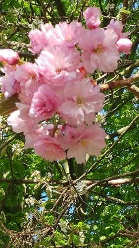 001-2020-G.Mueller-1v3