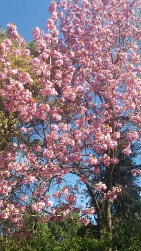 001-2020-G.Mueller-2v3