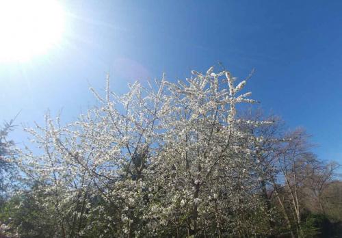 001-2020-G.Mueller-3v3