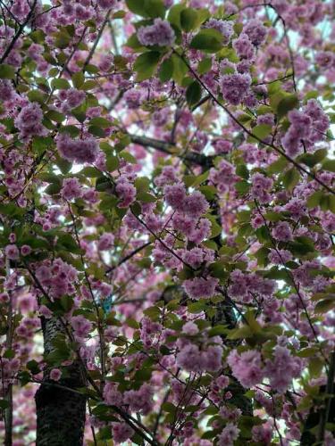 002-2020-B.Krebs-3v3