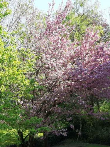 003-2020-B.Klein-1v1