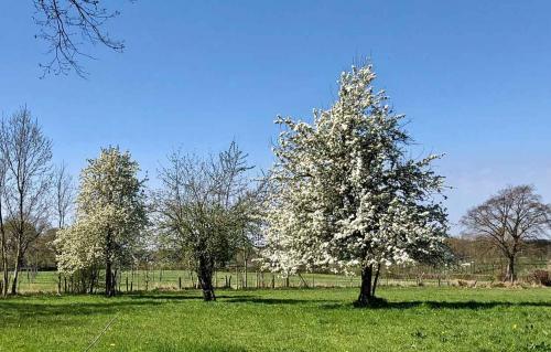 004-2020-H.Feuerriegel-1v3