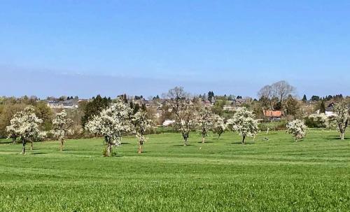 004-2020-H.Feuerriegel-2v3