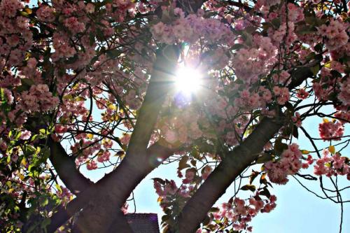 005-2020-K.Greßhoff-2v3