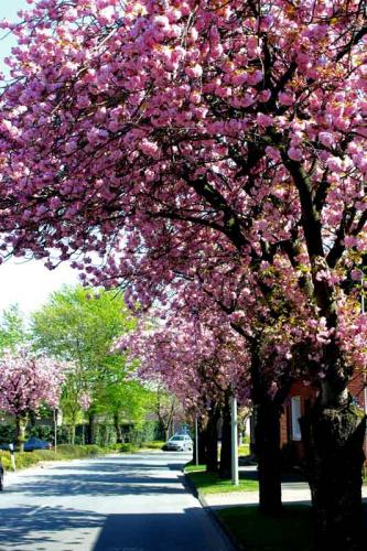 005-2020-K.Greßhoff-3v3