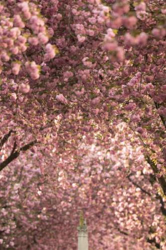 006-2020-D.Arvando-1v3