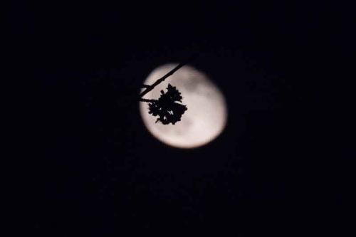 006-2020-D.Arvando-3v3