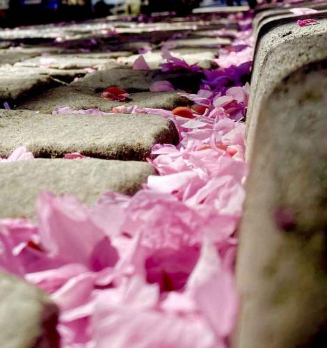 007-2020-St.Schaerer-2v3