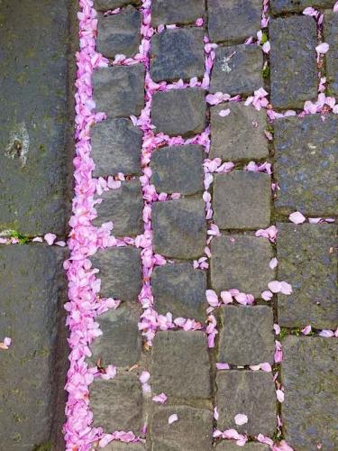 007-2020-St.Schaerer-3v3