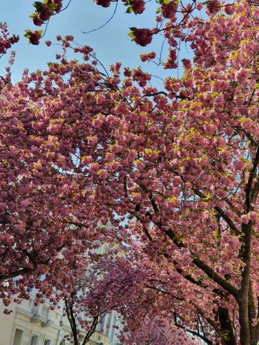 009-2020-I.Bouhss-1v3