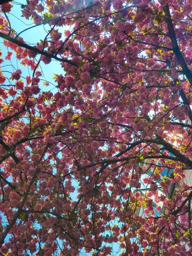 009-2020-I.Bouhss-2v3