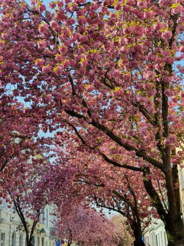 009-2020-I.Bouhss-3v3