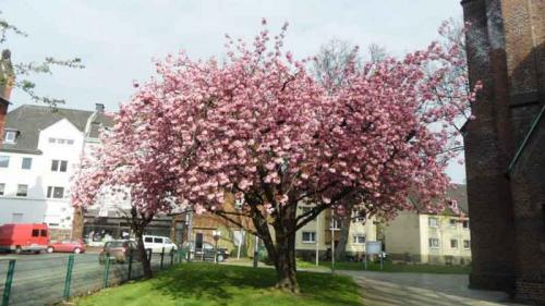 011-2020-M.Chapelar-2v3