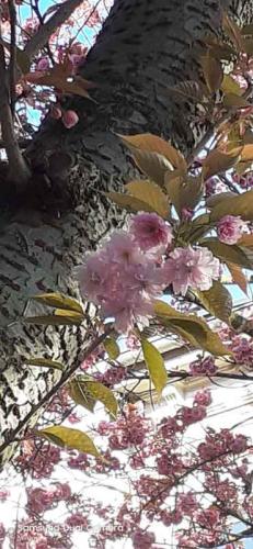 012-2020-M.Kirberg-1v2