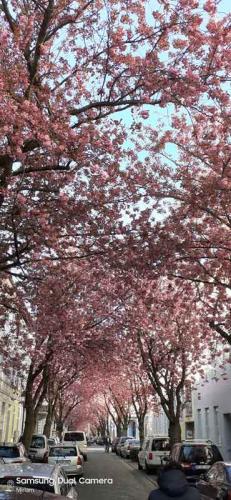 012-2020-M.Kirberg-2v2