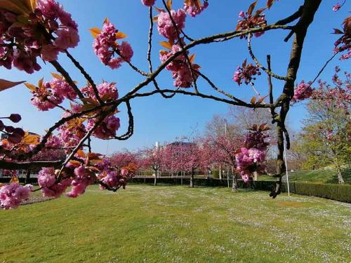 013-2020-Chr.Schreivogel-1v3