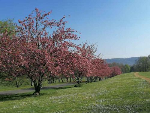 013-2020-Chr.Schreivogel-3v3