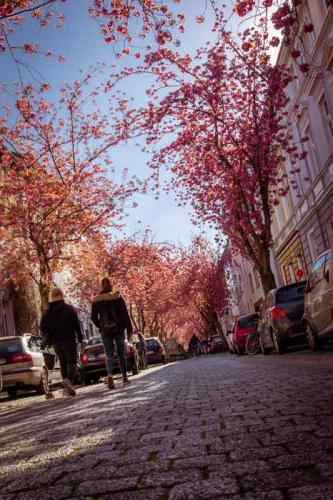 014-2020-P.Rasekhi-1v3