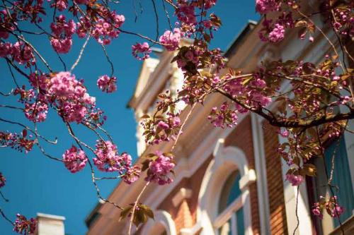 014-2020-P.Rasekhi-2v3