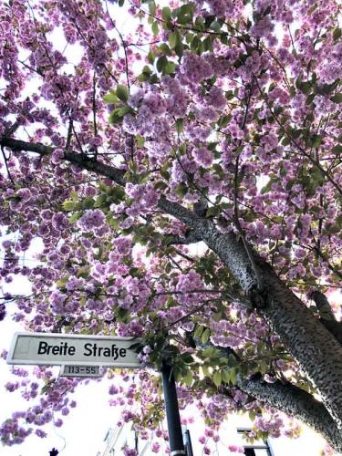 015-2020-D.Popovic-2v2