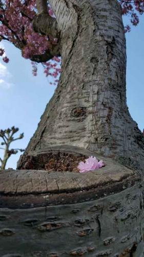 016-2020-S.Bremm-Däumer-3v3