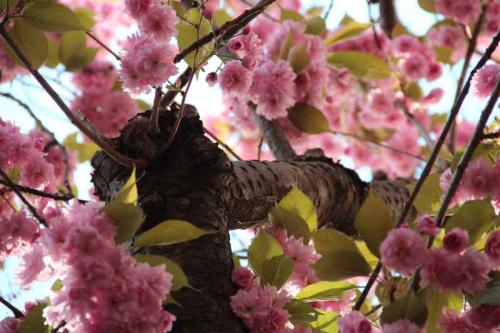 017-2020-N.Lederle-3v3