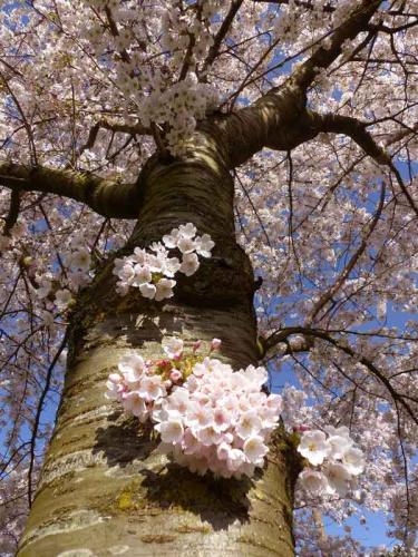 018-2020-E.Van-der-Draai-1v1