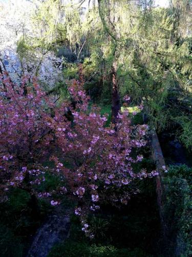 019-2020-Gertr.Mueller-1v3