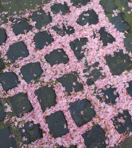 019-2020-Gertr.Mueller-3v3