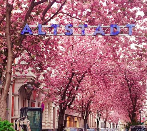 020-2020-S.Raghu-1v3