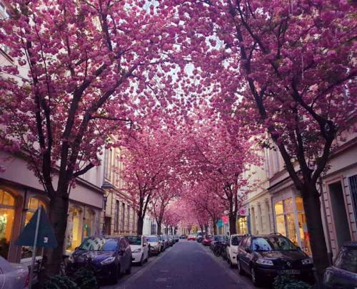 020-2020-S.Raghu-2v3