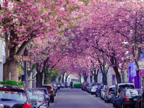 020-2020-S.Raghu-3v3