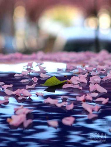 021-2020-O.Oliver-1v1