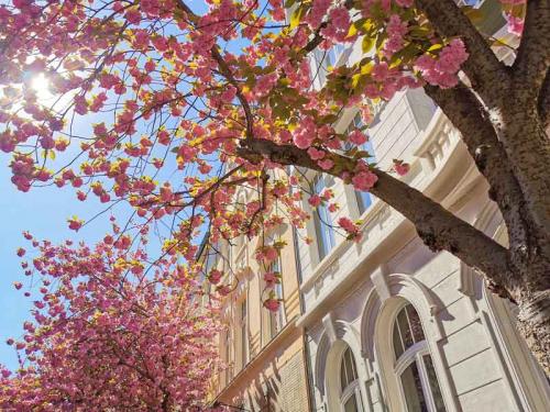 022-2020-F.Maretzke-1v3