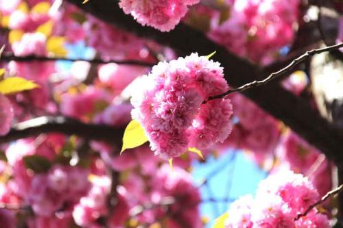 022-2020-F.Maretzke-2v3