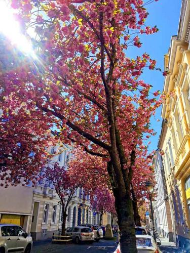 022-2020-F.Maretzke-3v3