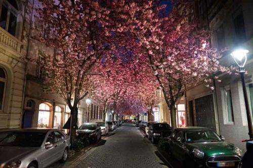 023-2020-Chr.Vogel-1v3