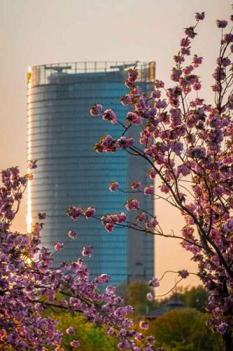 023-2020-Chr.Vogel-2v3