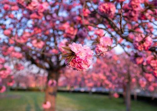 023-2020-Chr.Vogel-3v3