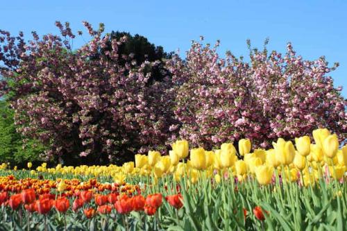 024-2020-Chr.-Helmich-1v3