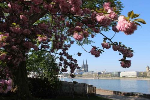 024-2020-Chr.-Helmich-2v3