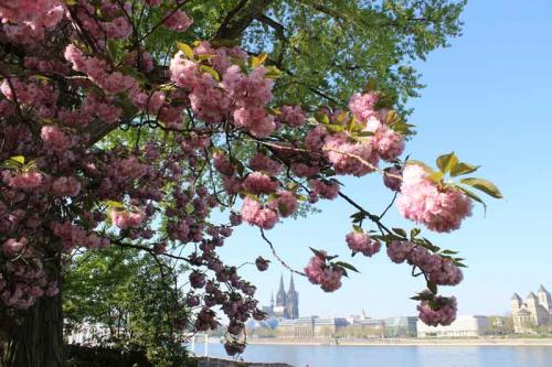 024-2020-Chr.-Helmich-3v3