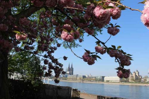 025-2020-H-J.-Helmich-1v3