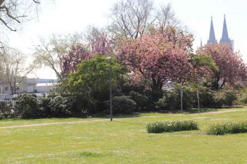 025-2020-H-J.-Helmich-2v3