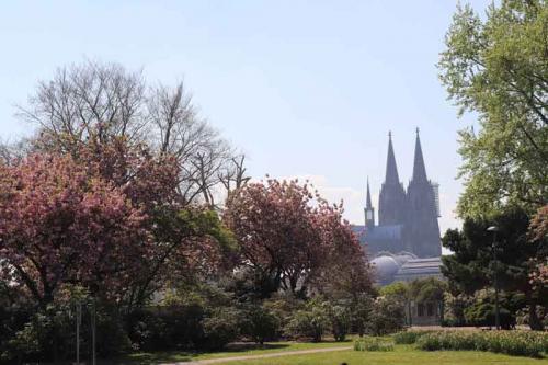 025-2020-H-J.-Helmich-3v3